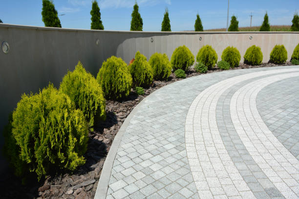 Best Driveway Paving Contractor  in Hinsdale, IL